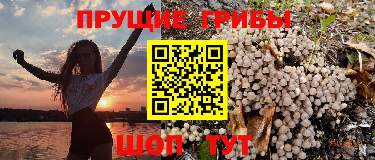 Псилоцибиновые грибы Psilocybine cubensis  Вход с VPN  Псилоцибиновые грибы Psilocybe  Арсеньев 